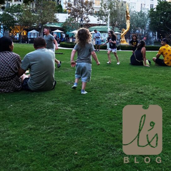 島田幾子のI ‘sBLOG | 日常に宿るしあわせ