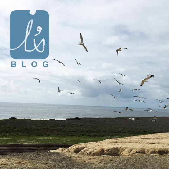 島田幾子のI’sBLOG |  子どもたちが教えてくれた10のこと