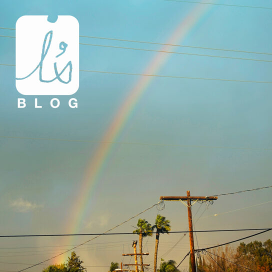 島田幾子のI’sBLOG  |  とことん応援！