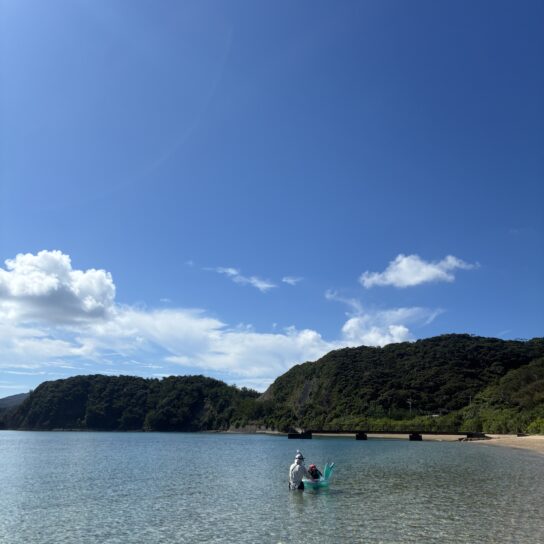 夏の思い出